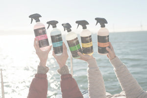 Hands holding five Seipel Marine premium cleaning spray bottles against open water in the background.