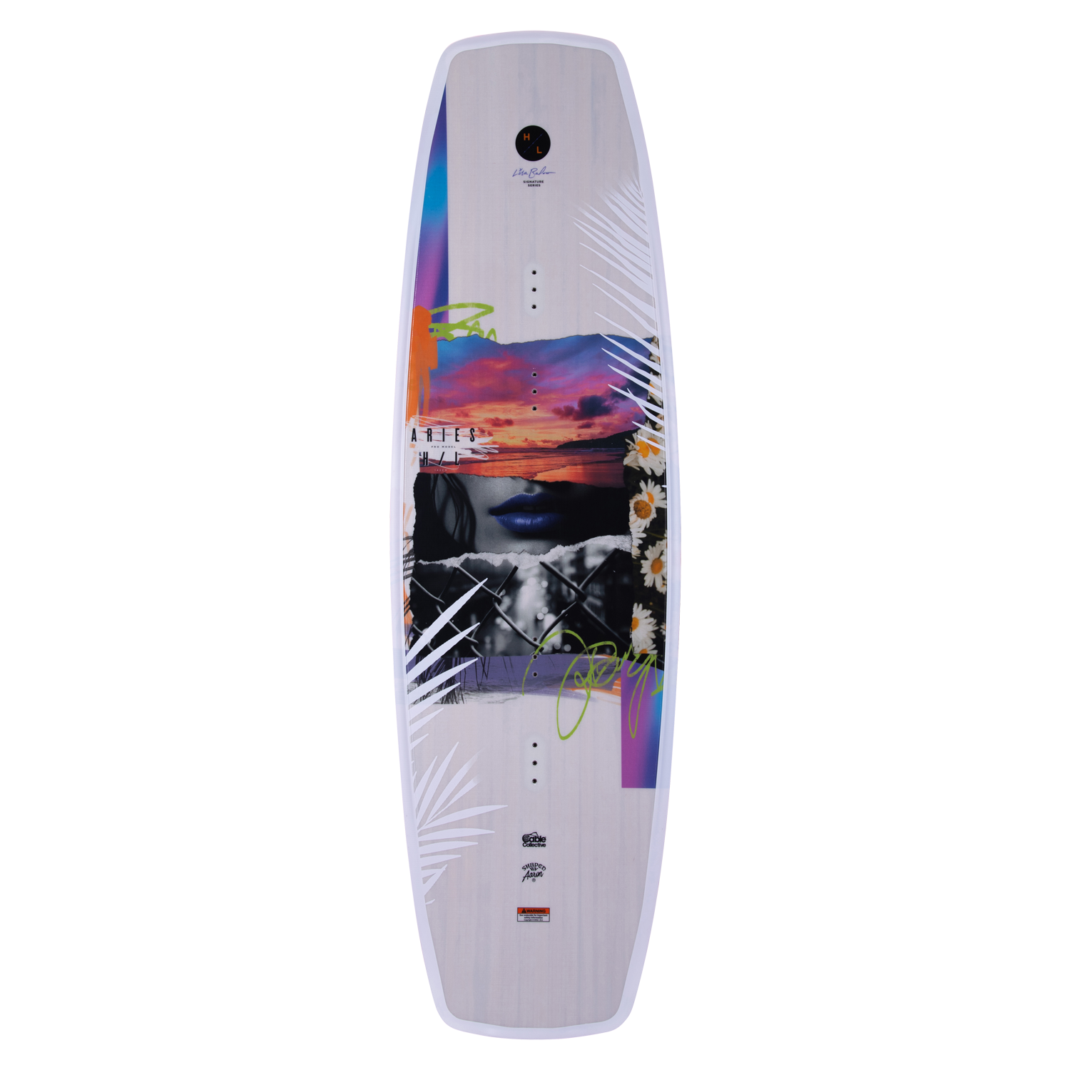 Aries cable wakeboard with abstract art, palm leaves, and daisies.